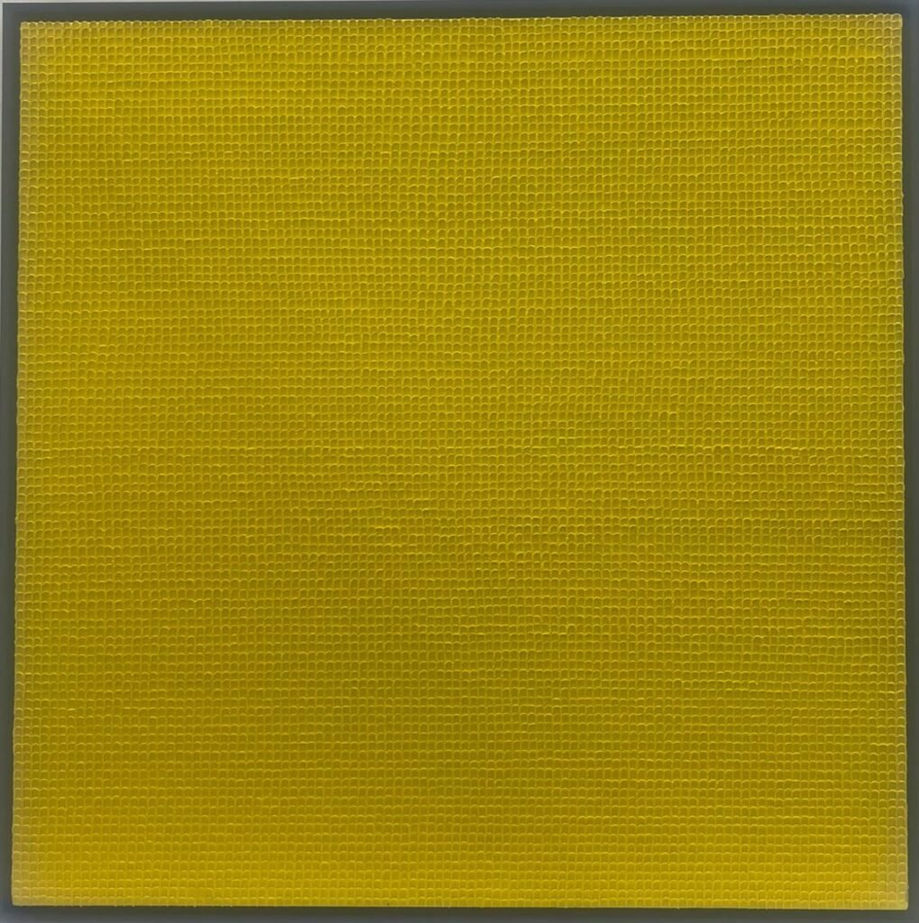 Summer Charm from farzinallana